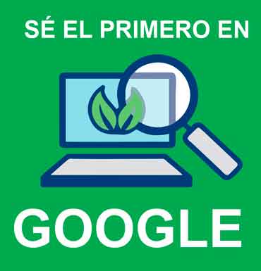 El mejor consultor SEO en PerÃº
