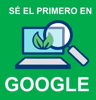 El mejor consultor SEO en Perú