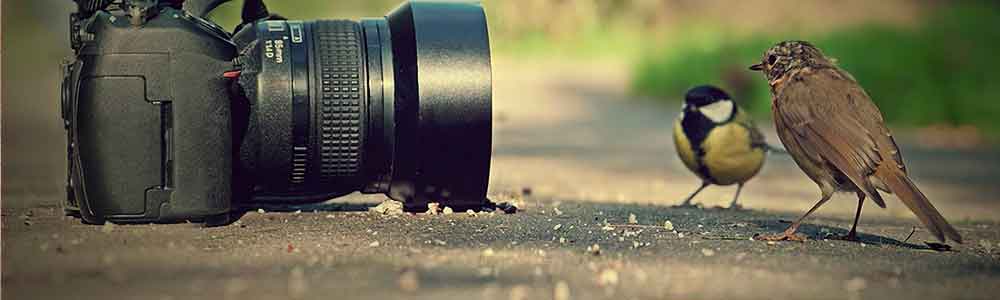 Servicio Tecnico de Camaras Fotograficas