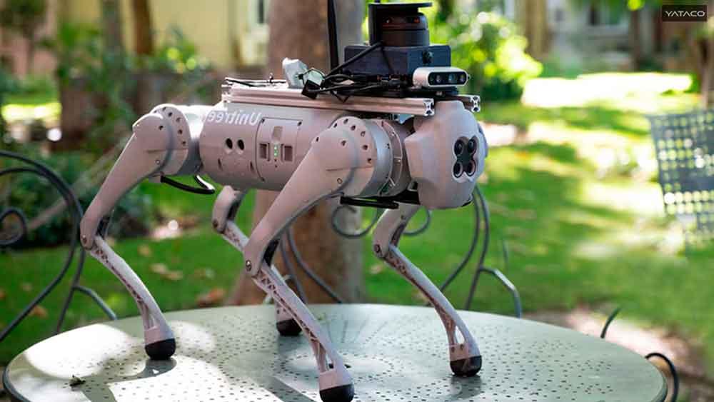 Epidemia de la soledad,  las nuevas soluciones con gatos, perros y aves robots 