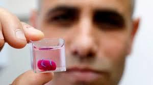 COMPAÑÍA DE BIOTECNOLOGÍA LOGRÓ IMPRIMIR UN MINI-CORAZÓN