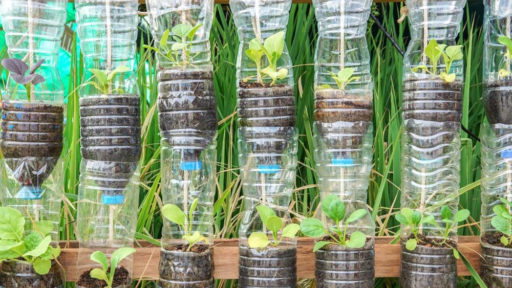 HUERTAS VERTICALES, CULTIVA SIN TENER SUELO