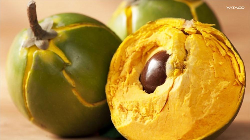 Festival de la Lúcuma ofrecerá diversos productos en Pachacámac