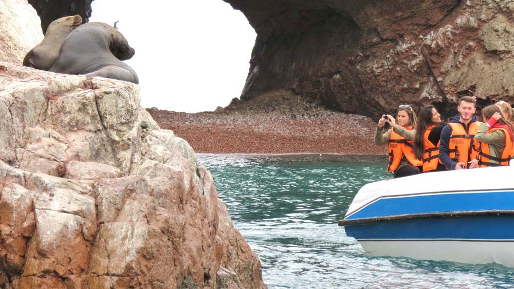 COVID-19: Aproximadamente  2 millones de empleos del sector turismo están en riesgo