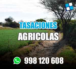 valuaciones terrenos agricolas